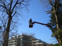 CIMG2816