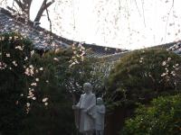 DSCF1745