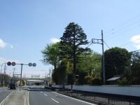 DSCF1915