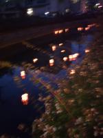 DVC000431